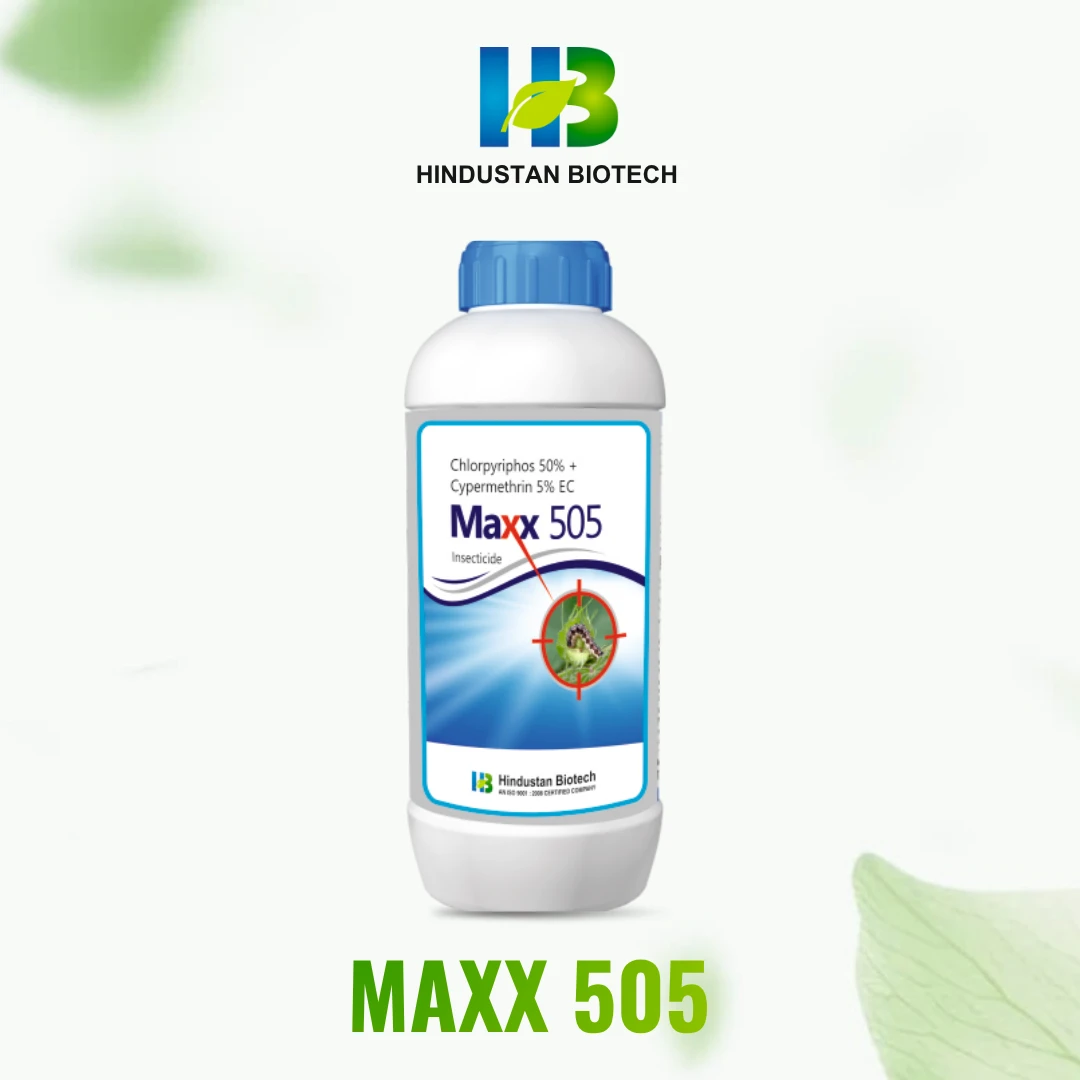 maxx 505