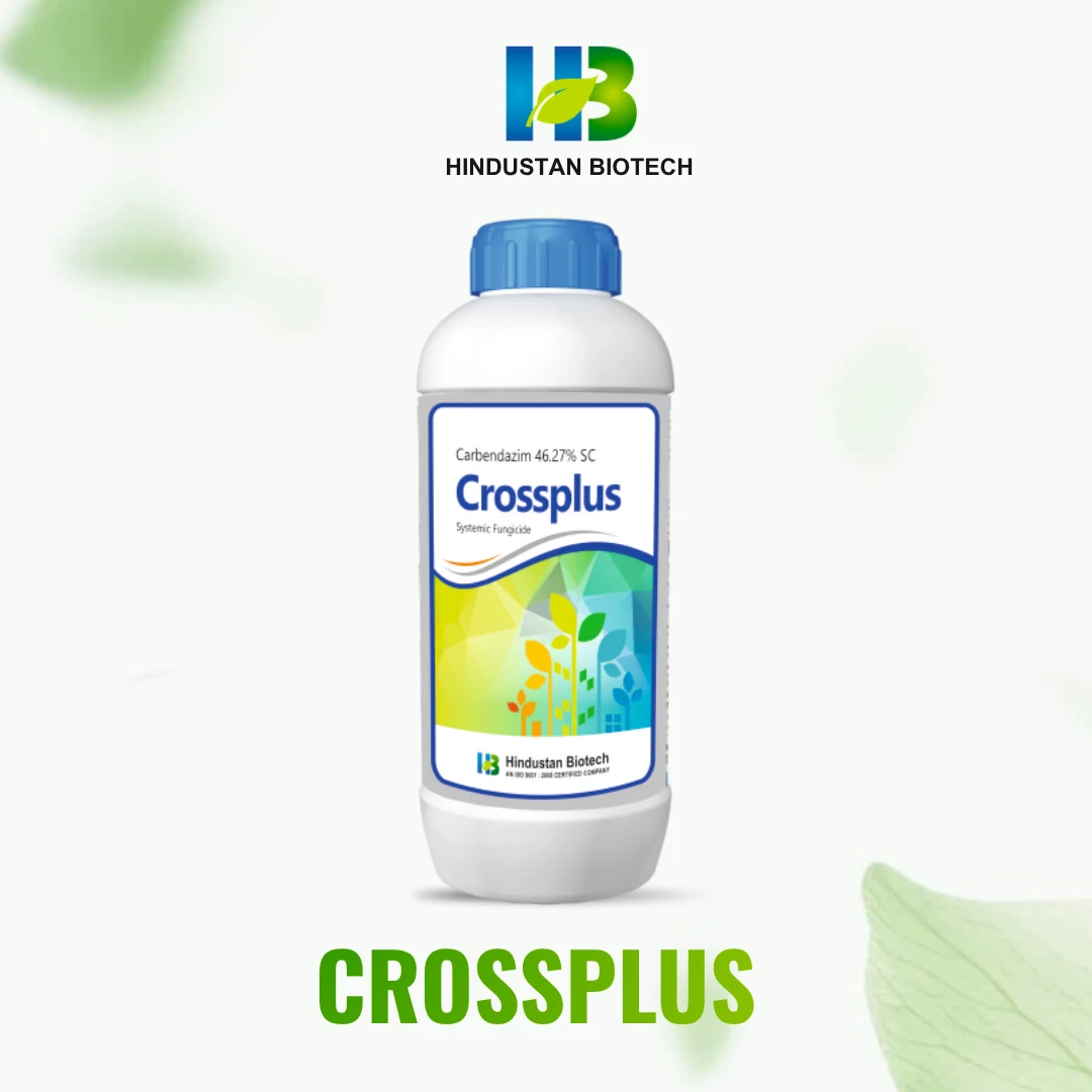 crossplus    