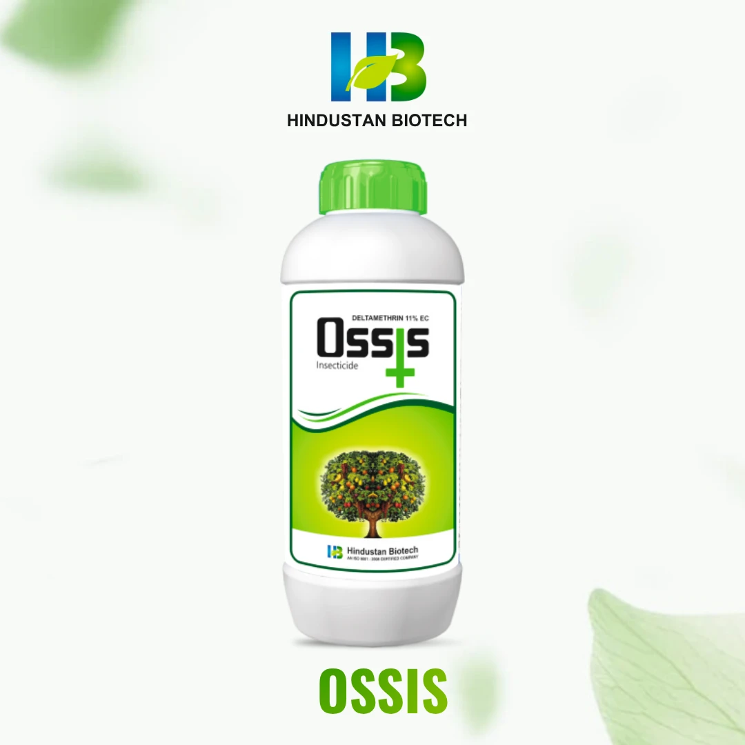 ossis