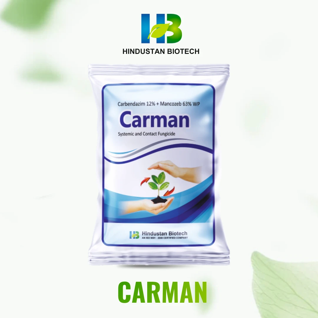 carman    