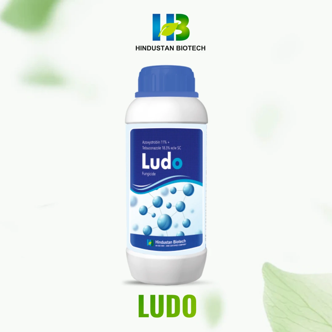 ludo    