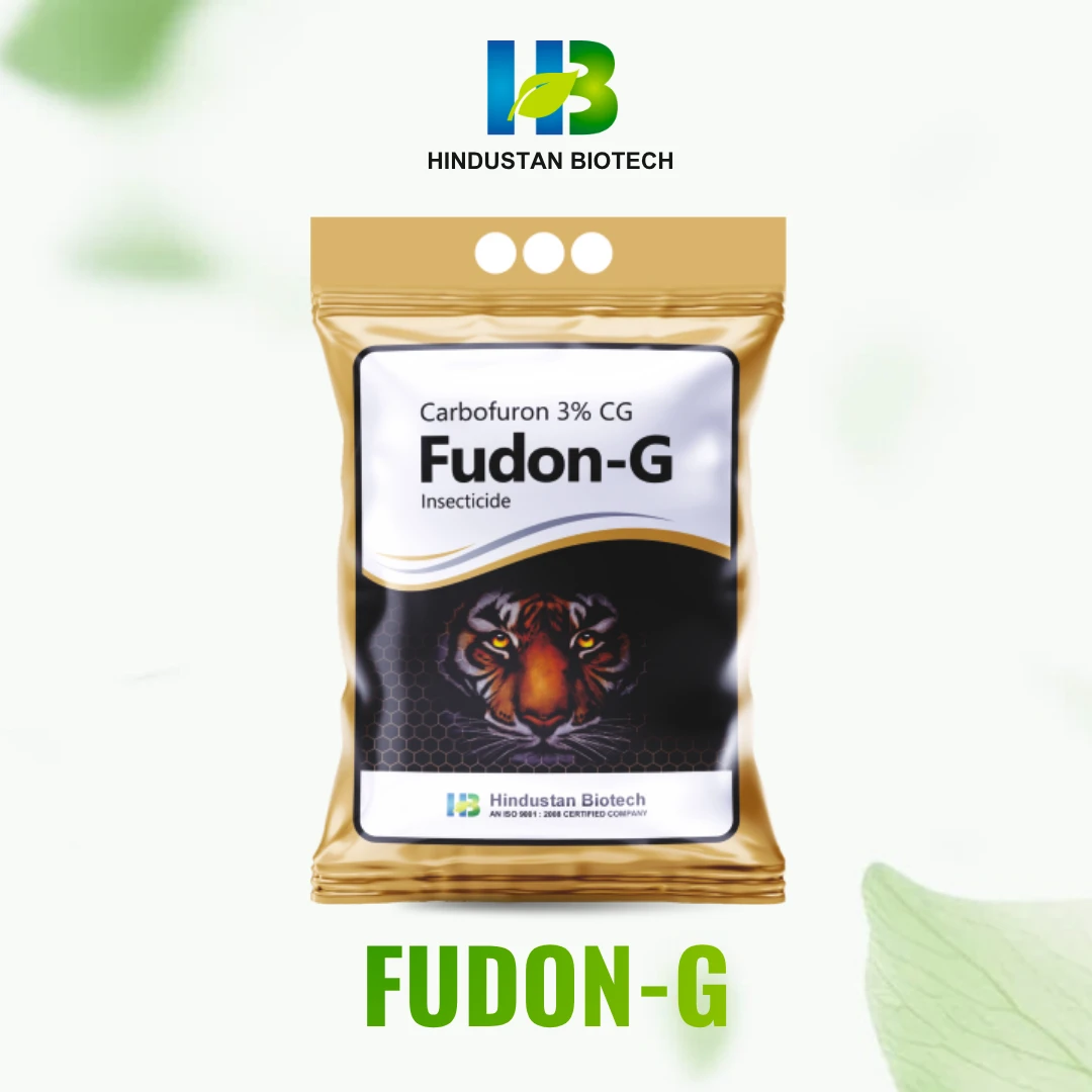 fudon-g