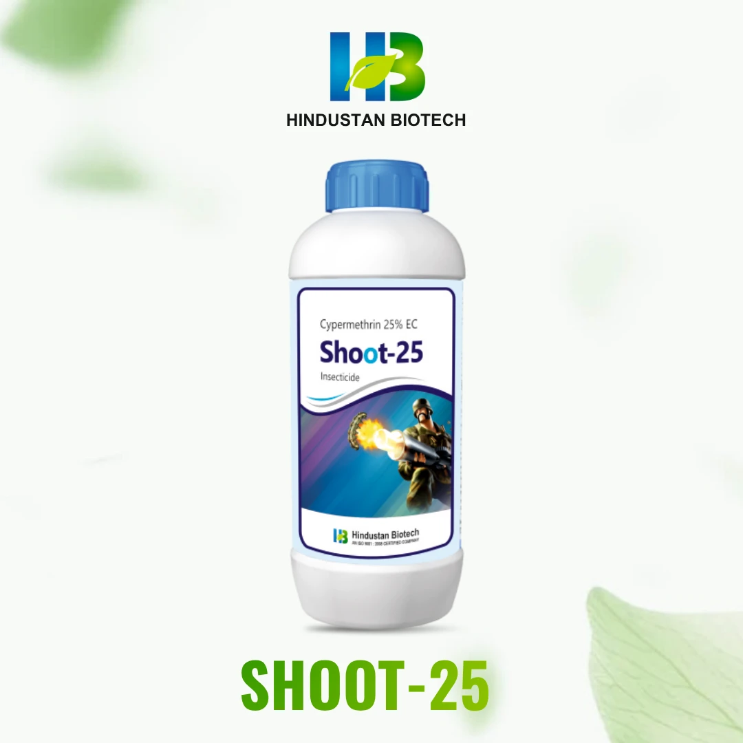shoot-25
