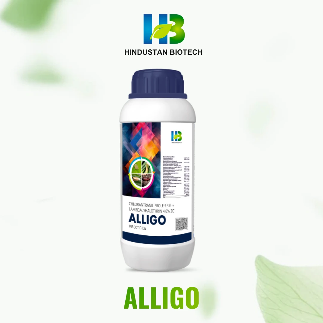 alligo