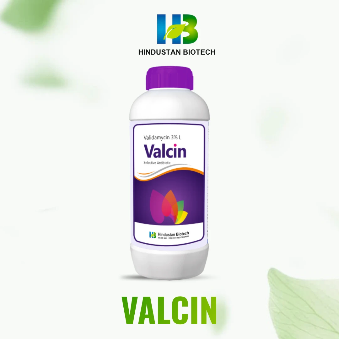 valcin    